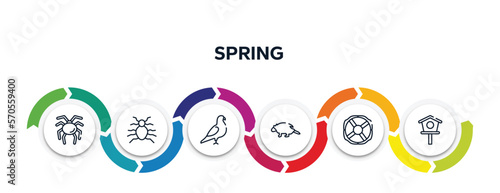 spring outline icons with infographic template. thin line icons such as null, flea, pigeon, porcupine, lifebuoy, birdhouse vector.