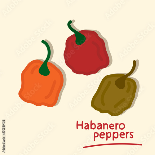 Habanero pepper. Hand drawn hot chili pepper elements collection.