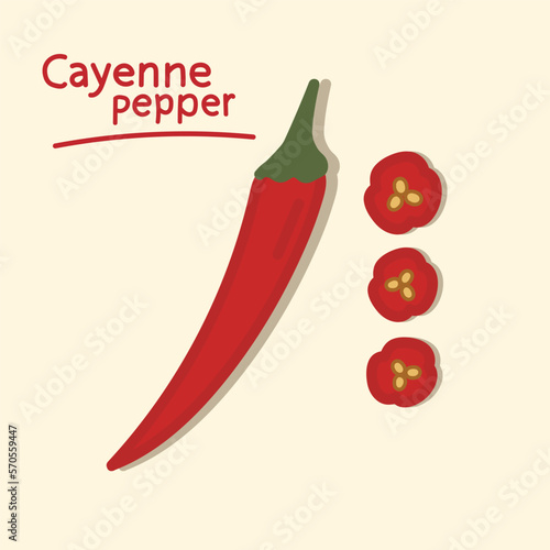 Cayenne pepper. Hand drawn hot chili pepper elements collection.