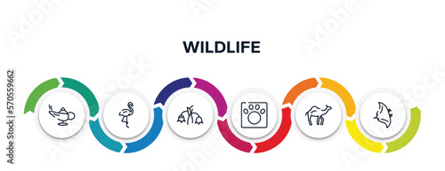 wildlife outline icons with infographic template. thin line icons such as magic lamp, flamingo, harebell, veterinarian, dromedary, manta ray vector.