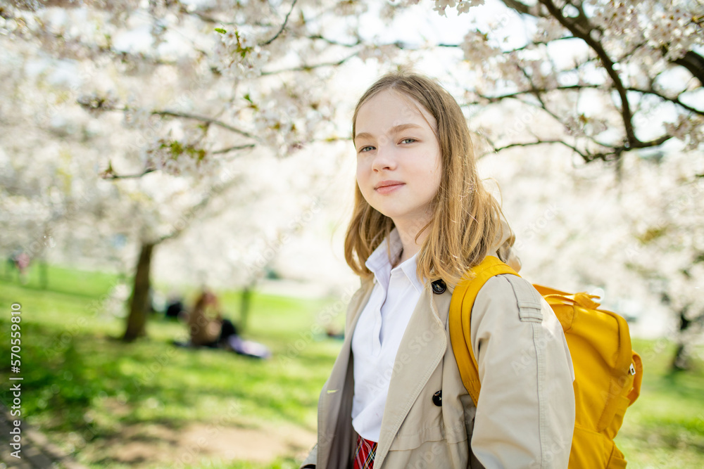 Adorable young girl in blooming cherry tree garden on beautiful spring day. Cute child picking fresh cherry tree flowers at spring. Adorable young girl in blooming cherry tree garden on beautiful spring day. Cute child picking fresh cherry tree flowers at spring.
