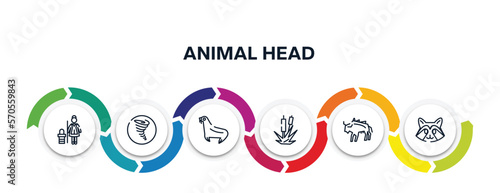 animal head outline icons with infographic template. thin line icons such as cleaner, tornado, sea lion, bulrush, bison, racoon vector.