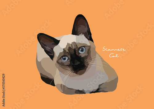 Vector Illustration of  Siamese Cat, Wichien Maat, Cat