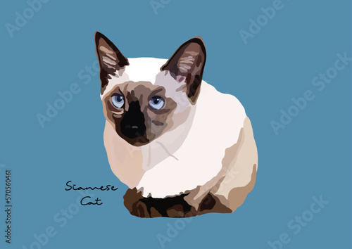 Vector Illustration of  Siamese Cat, Wichien Maat, Cat