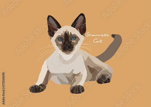 Vector Illustration of  Siamese Cat, Wichien Maat, Cat