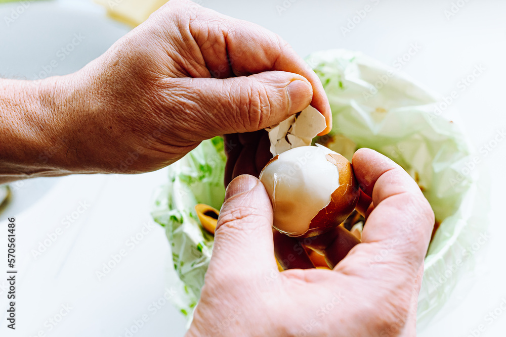 Men's hands clean shell from boiled eggs in bucket of biological food waste Men's hands clean shell from boiled eggs in bucket of biological food waste
