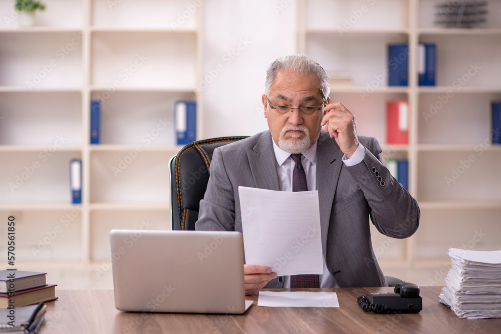 Old male employee working in the office Old male employee working in the office