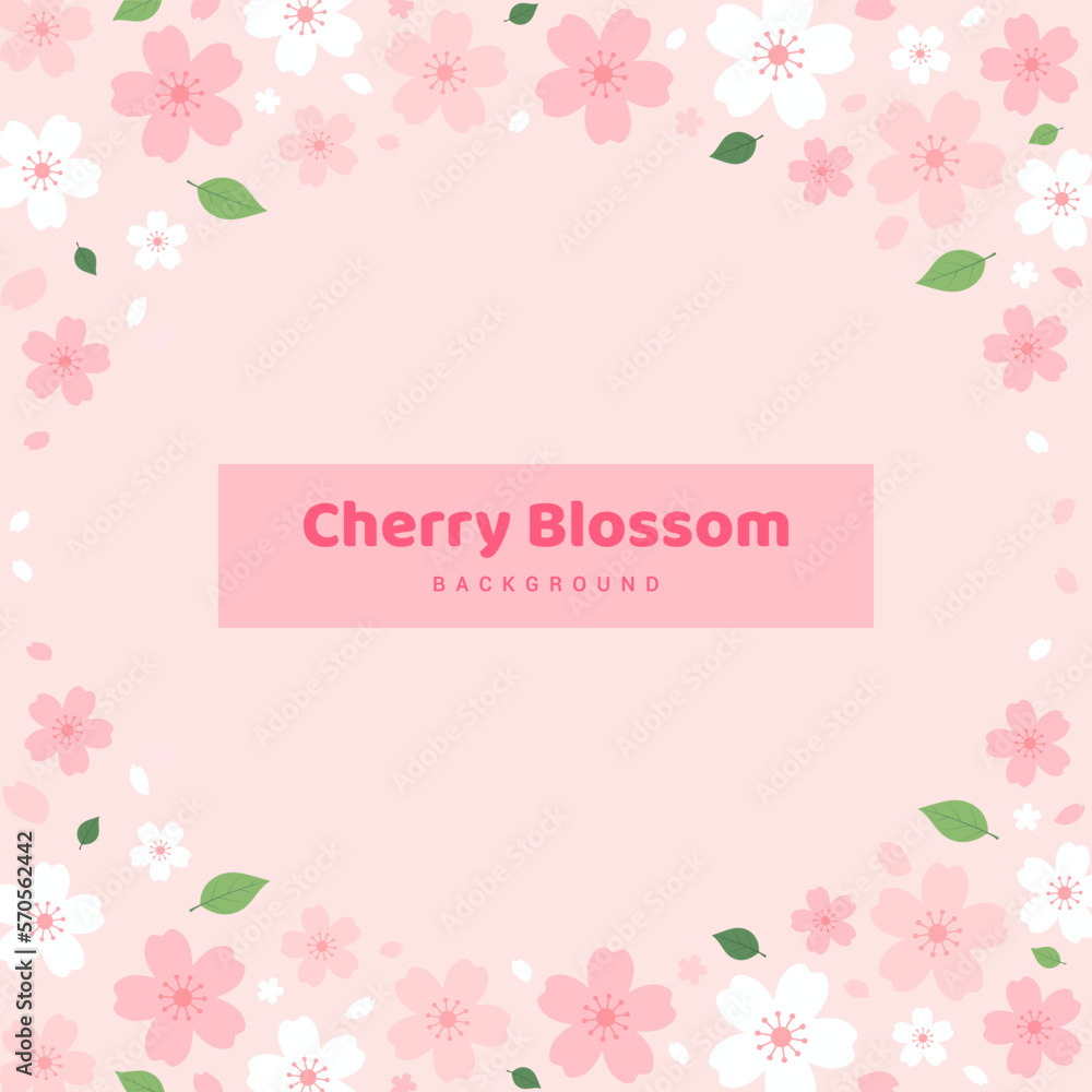 Cherry Blossoms background vector illustration. Pink Sakura flower frame