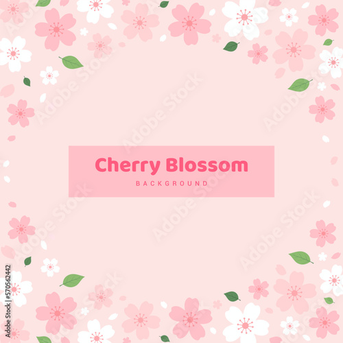 Cherry Blossoms background vector illustration. Pink Sakura flower frame © Farosofa