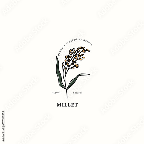 Line art millet branch drawing

