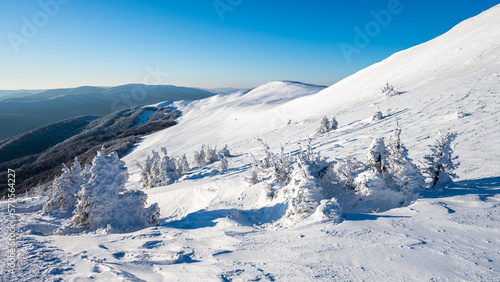 Fototapeta Naklejka Na Ścianę i Meble -  Mount Szeroki Wierch, Bieszczady National Park, Poland.