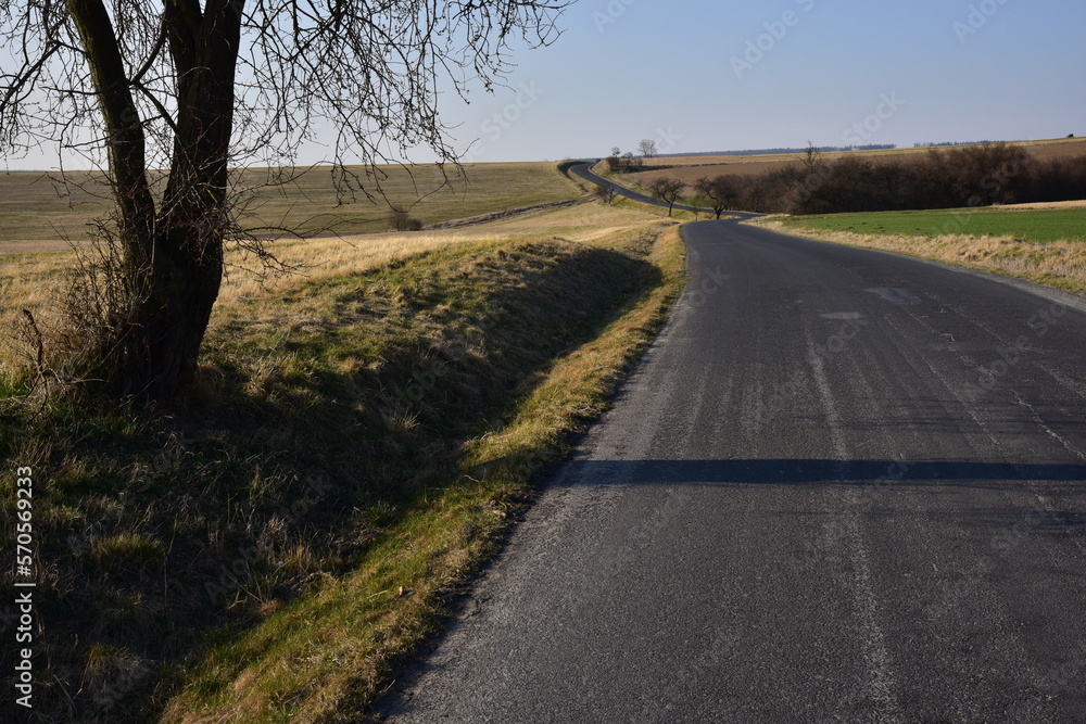 Fototapeta premium Road asphalt way in the fields