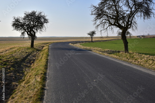 Road asphalt way in the fields