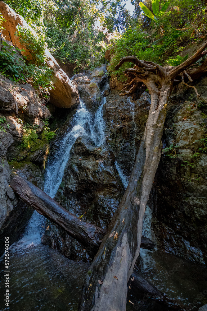 Fototapeta premium Deep forest waterfall background image.