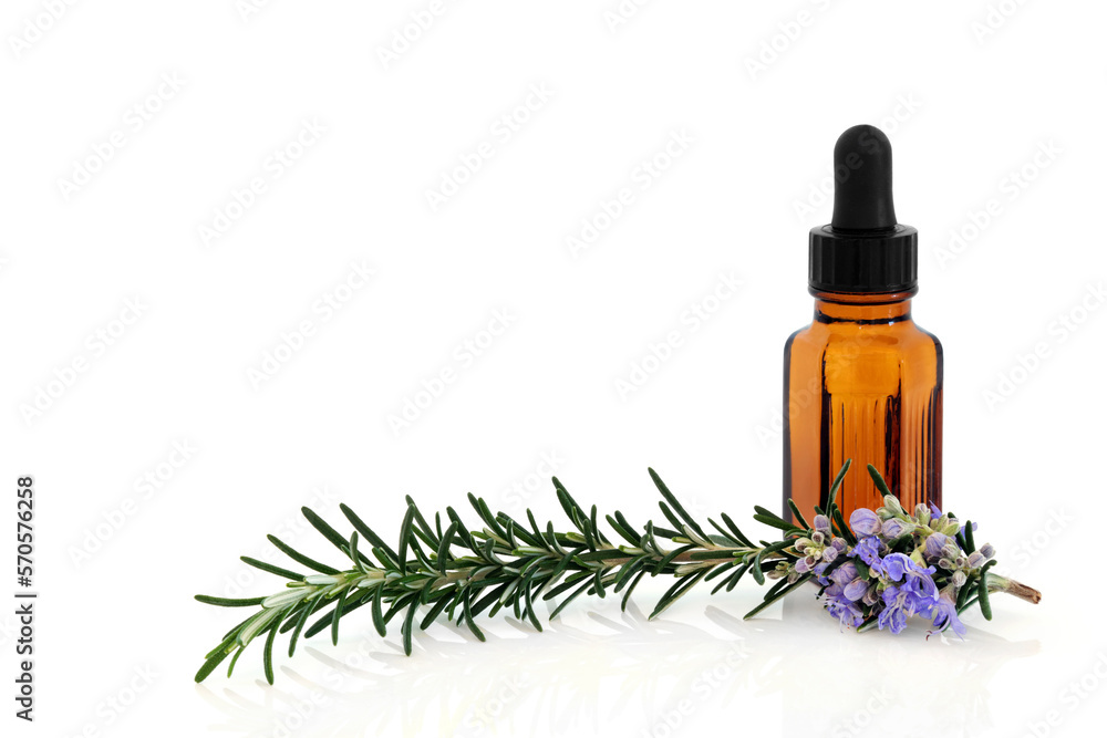 Rosemary herb herbal plant medicine and food seasoning with aromatherapy essential oil bottle. Boosts immune system, improves blood circulation, treats bronchial asthma. On white, copy space. Rosemary herb herbal plant medicine and food seasoning with aromatherapy essential oil bottle. Boosts immune system, improves blood circulation, treats bronchial asthma. On white, copy space.