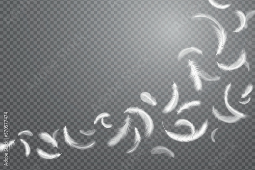 Isolated floating feathers, goose fly. Falling white plumage, 3d weightless elements, chicken or swan pillow filler, swan fluffy wing. Transparent background. Vector realistic illustration