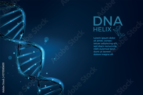 DNA helix. Medicine and biology research. Science background. Biotechnology and genomics wireframe. Chromosome molecules chain. Genes structure. Blue spiral. Vector illustration concept