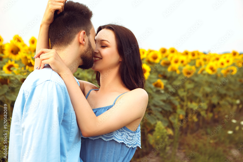 Fototapeta premium Lovely couple walks through yellow bouquet blooming sunflower field outdoors sunrise warm nature background. Summer holiday relax. Husband and wife hugging kissing embaracing smiling laughing
