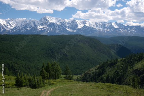 Mountain highland path at green spring hill with green trees on the background of high snow range under blue sky Altai Siberia Russia