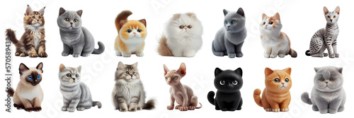 Set of different cat breeds, cute kitten illustration. Generative AI photo