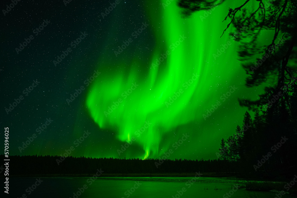 The Auroras (Revontuli in Finnish) are one of the most ethereal experiences in our lifetime where one can see the entire sky exploding with green, purple and at times with bursts of red colors. It fel