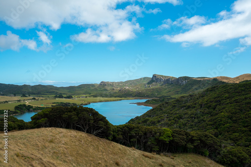 Neuseelands wilde Natur am Meer mit Gras, Bäumen und Felsen und blauem Himmel mit Wolken.