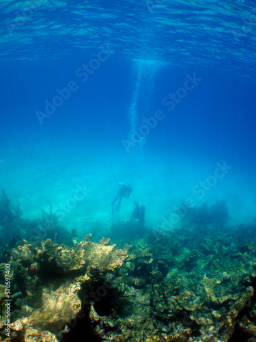 an underwater scenery on a reef with divers and marine life in the caribbean sea © gustavo