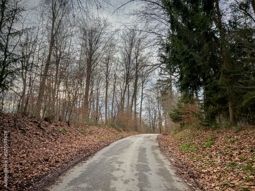 Bavarian Forest walk way during winter time 