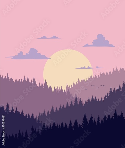 sunset in the forest 