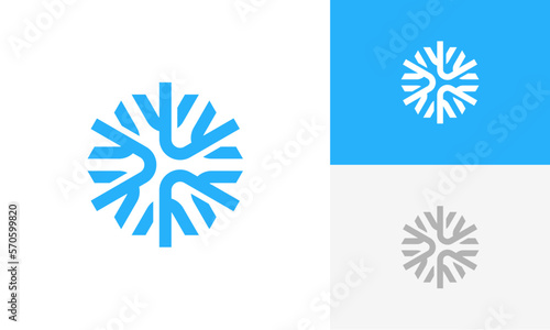 snowflakes logo design vector