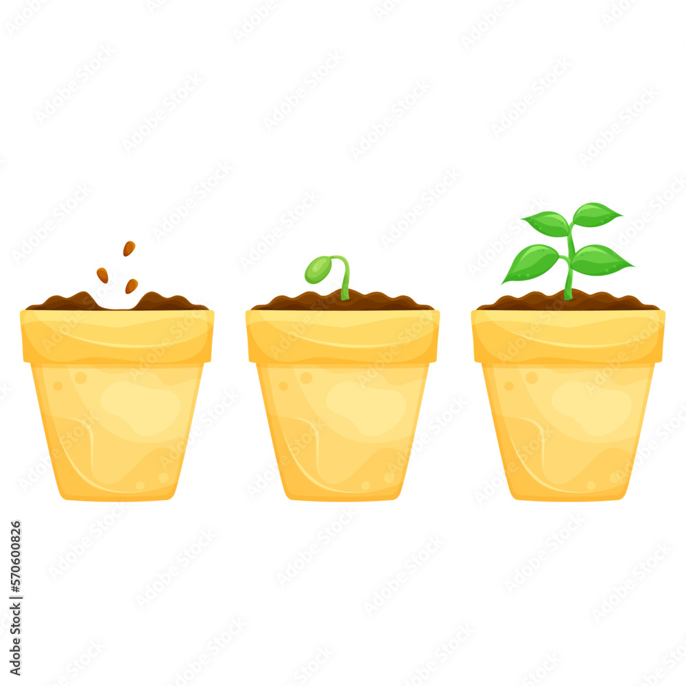 a set of bright vector illustrations of a pot with seedlings, planting plants, indoor plants and a vegetable garden a set of bright vector illustrations of a pot with seedlings, planting plants, indoor plants and a vegetable garden