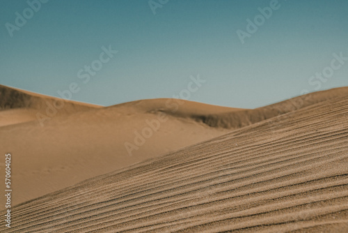 wydmy pustynia