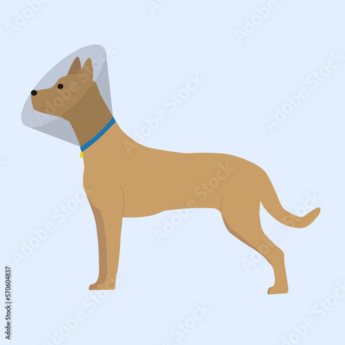 Dog in a protective veterinary collar. Vector illustration. Blue background