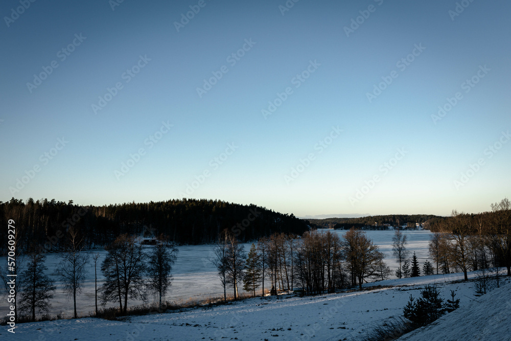 sunset in the forest