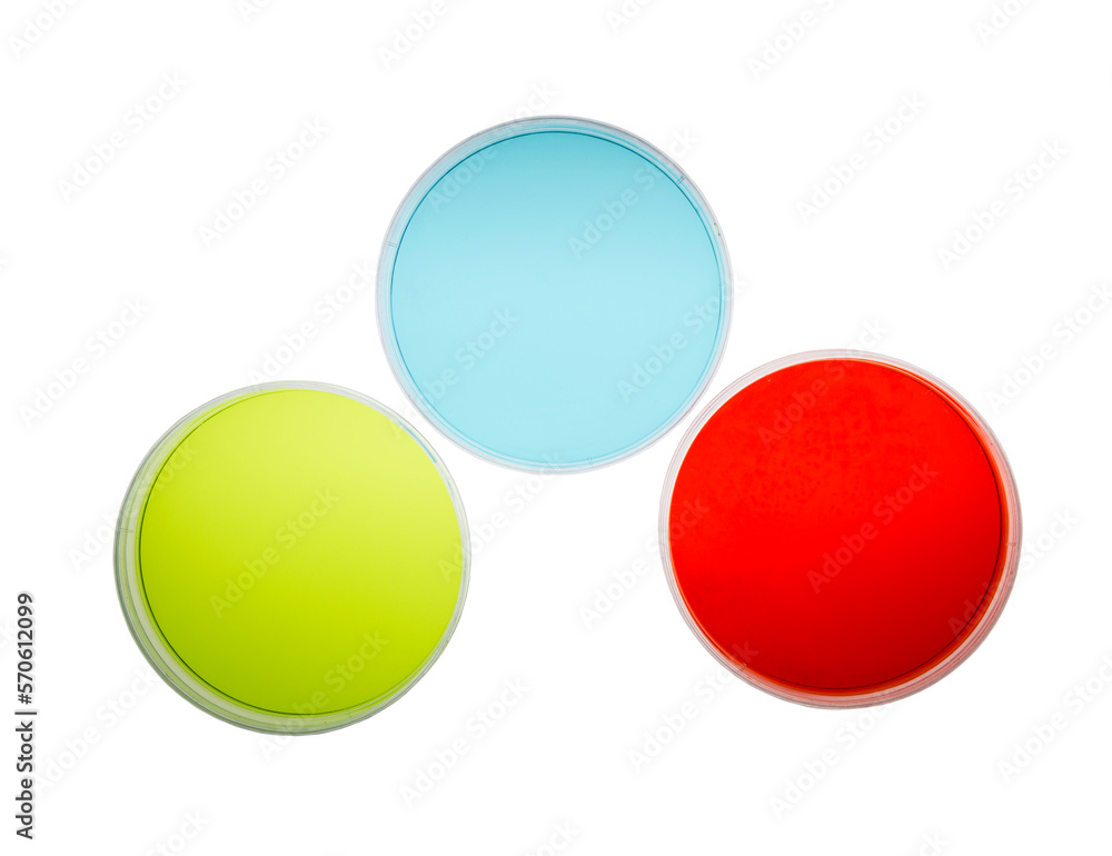 Petri dishes with colorful agar isolated with cut out background.   - obrazy, fototapety, plakaty 