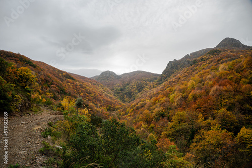 colorful forest in autumn , colorful autumn season background