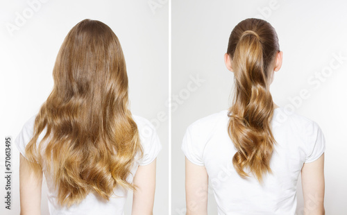 Closeup Before after Caucasian curly wavy hair type back view isolated on white background. Shiny long light brown healthy clean pony tail hairstyle. Before-after easy making imperfect beauty hacks