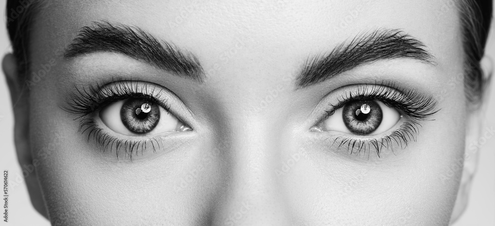 Female Eye with Extreme Long False Eyelashes. Eyelash Extensions. Makeup, Cosmetics, Beauty. Close up, Macro Female Eye with Extreme Long False Eyelashes. Eyelash Extensions. Makeup, Cosmetics, Beauty. Close up, Macro