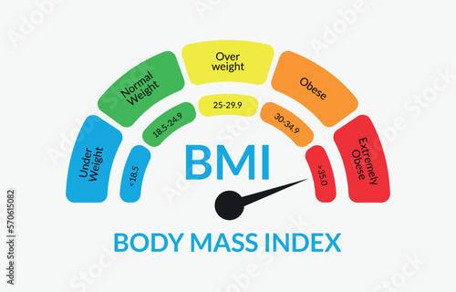 Body Mass Index Infographic Chart. Colorful BMI Chart Vector Illustration With White Isolated Background