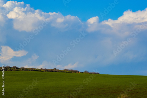umm qais - irbid, jordan 06- Feb- 2023 - green wheat field with a cloudy blue sky at spring