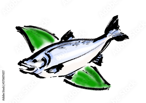鮭の手描き和風イラスト和風素材