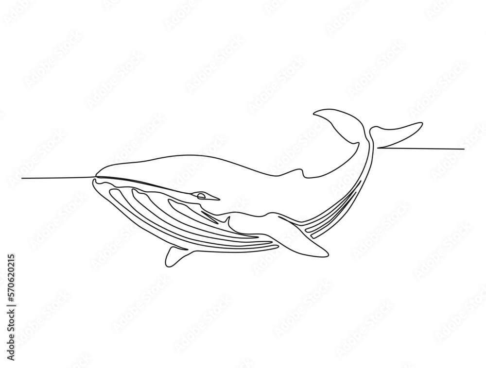 Continuous one line drawing of whale. Simple illustration of humpback whale line art vector illustration Continuous one line drawing of whale. Simple illustration of humpback whale line art vector illustration