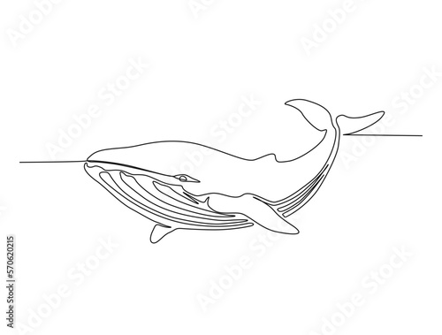 Continuous one line drawing of whale. Simple illustration of humpback whale line art vector illustration