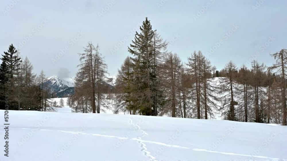 Snow excursion. Breathtaking views in Val Badia surrounded by the Dolomites. Snow excursion. Breathtaking views in Val Badia surrounded by the Dolomites.