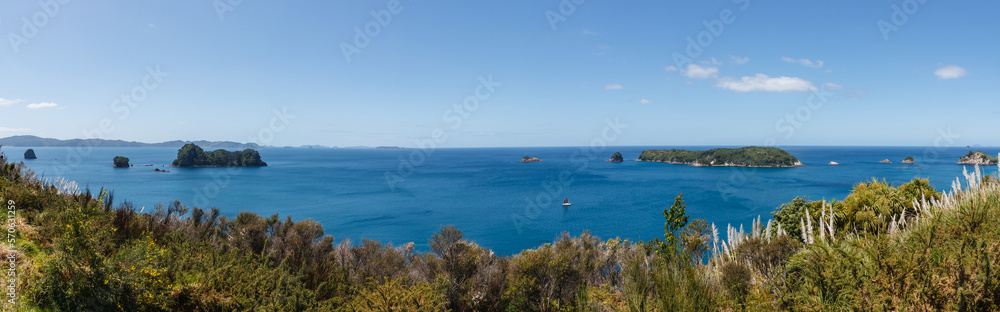 Palm trees and ferns at a beach at Coromandel Peninsula island New Zealand Palm trees and ferns at a beach at Coromandel Peninsula island New Zealand