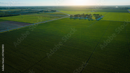 Sunset over Homestead