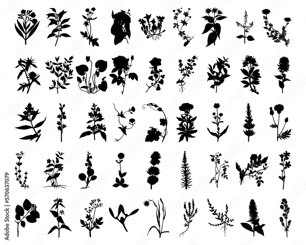 wildflower silhouette set wildflower silhouette set