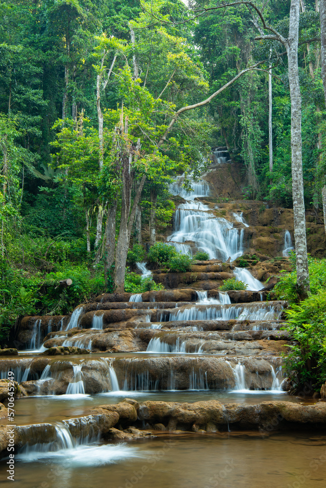 Naklejka premium Jungle and waterfall stock photo
