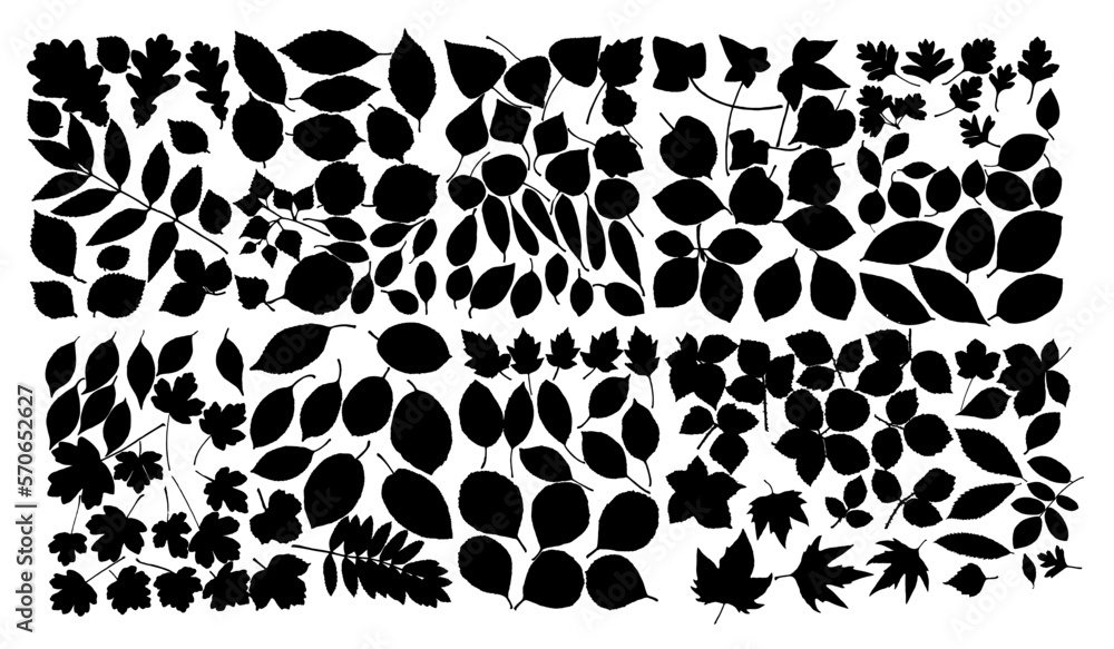 Obraz premium leaves silhouette set