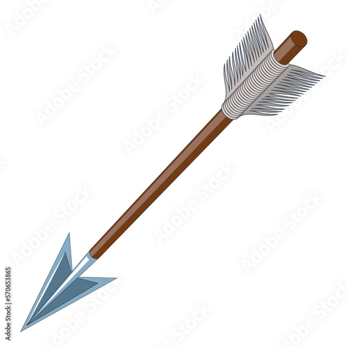 Wooden Arrow with steel tip and plumage isolated on a white background